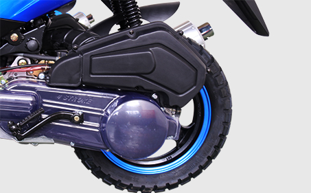 RadRover Electric Fat Bike Version 5key feature 4